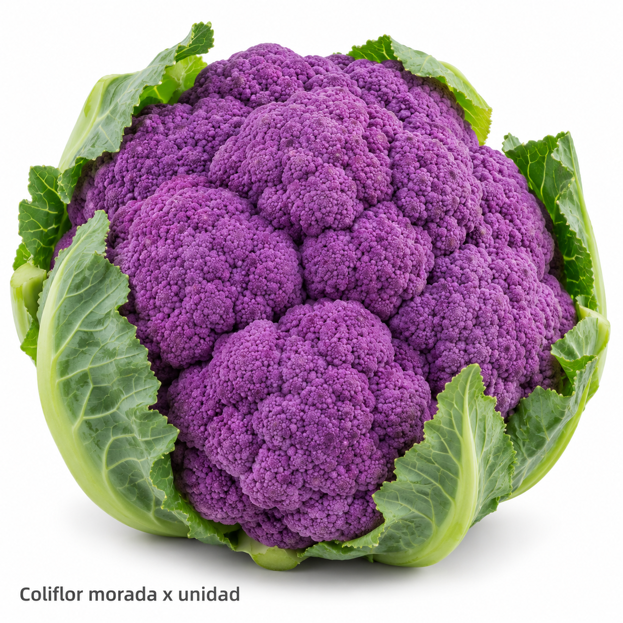 Coliflor morada x unidad